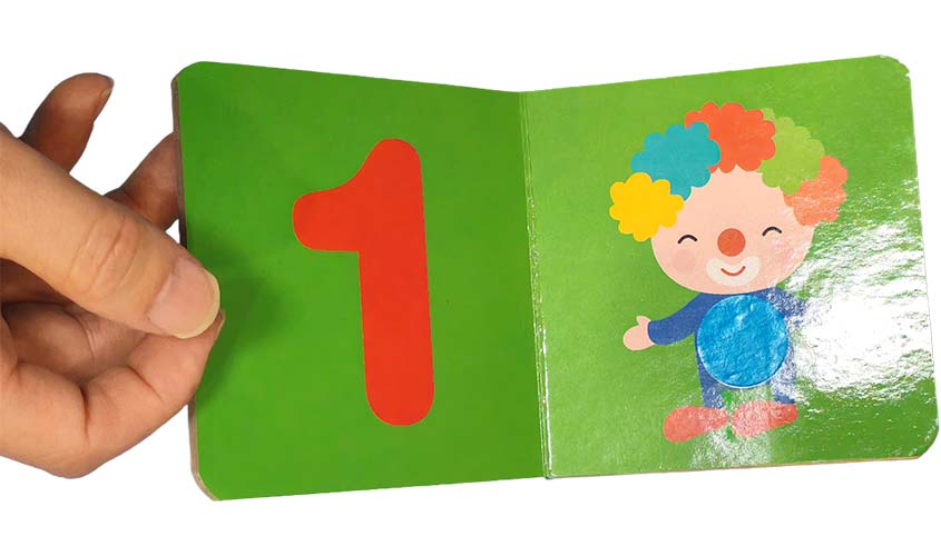 Multi-Page Fold-Out Animal Card Book for Children